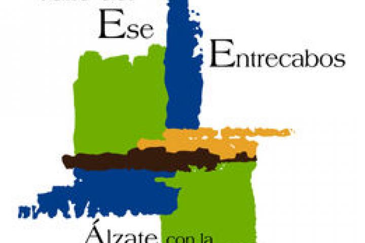 Logo Valle Ese
