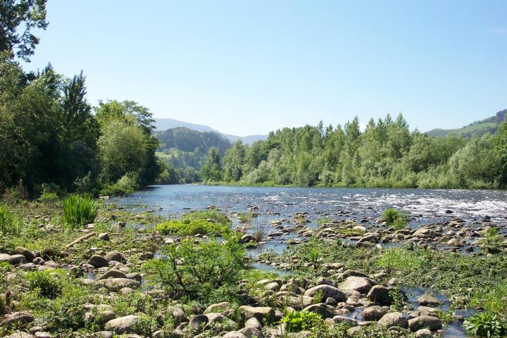 Río Narcea (Salas)